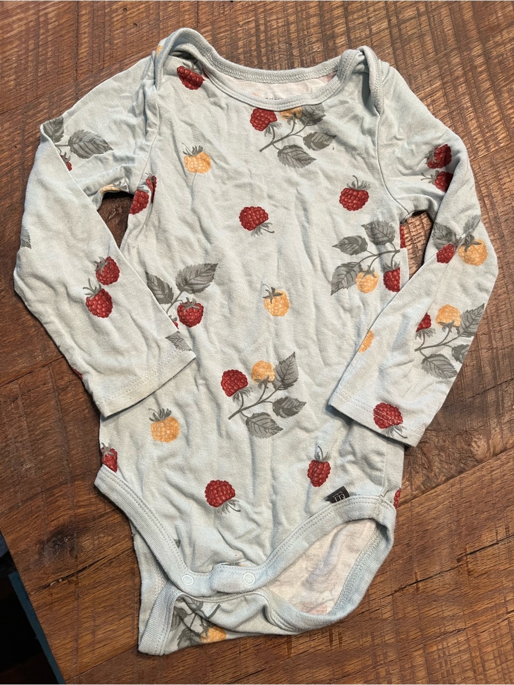 Viscose Bamboo Baby Long-Sleeve Onesie with Raspberry Print - Light Blue